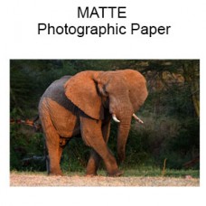 MATTE Custom Size - Premium Professional Quality Photographs (Inches)